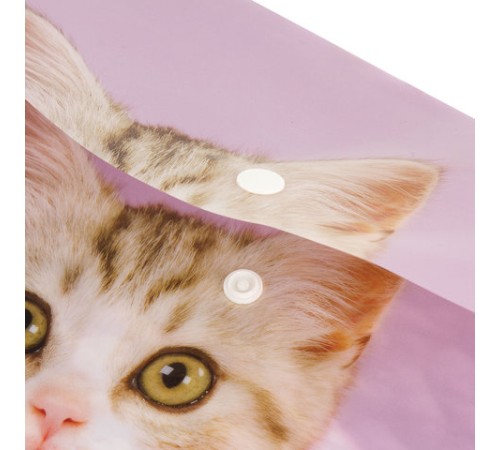 Папка-конверт с кнопкой ЮНЛАНДИЯ 