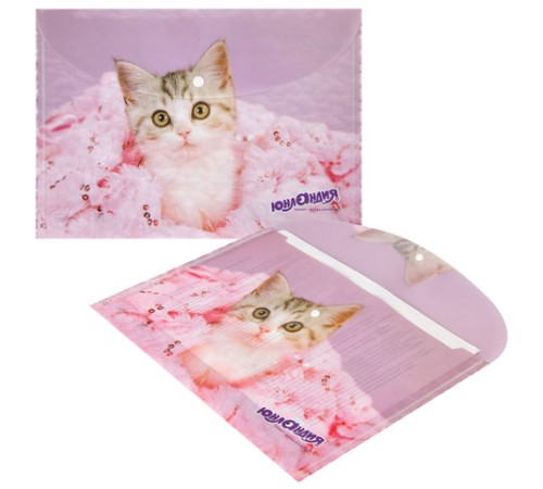 Папка-конверт с кнопкой ЮНЛАНДИЯ 