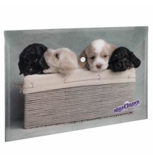 Папка-конверт с кнопкой ЮНЛАНДИЯ 