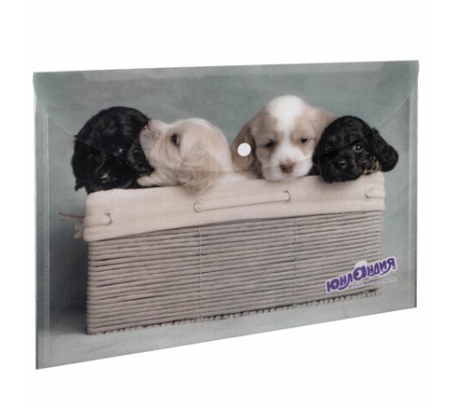 Папка-конверт с кнопкой ЮНЛАНДИЯ 