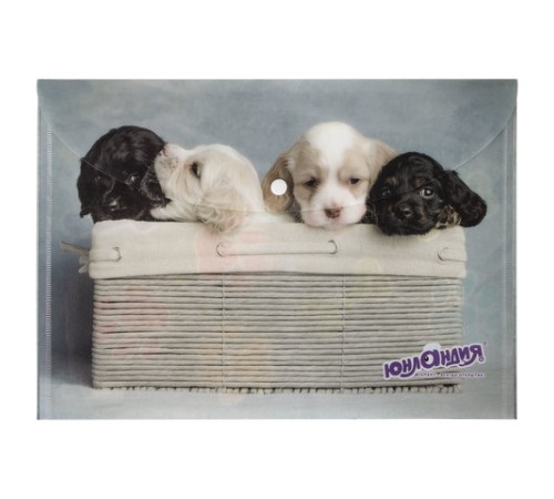 Папка-конверт с кнопкой ЮНЛАНДИЯ 