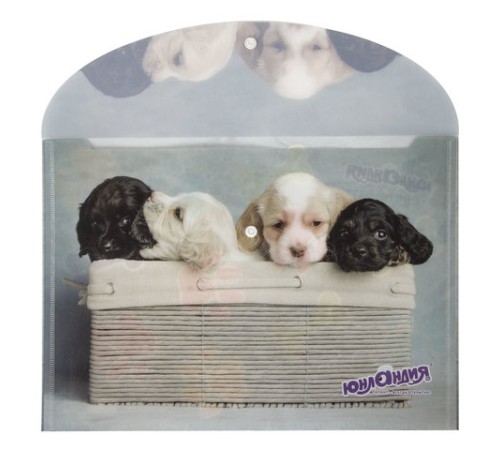 Папка-конверт с кнопкой ЮНЛАНДИЯ 