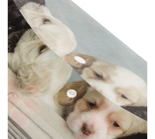 Папка-конверт с кнопкой ЮНЛАНДИЯ 