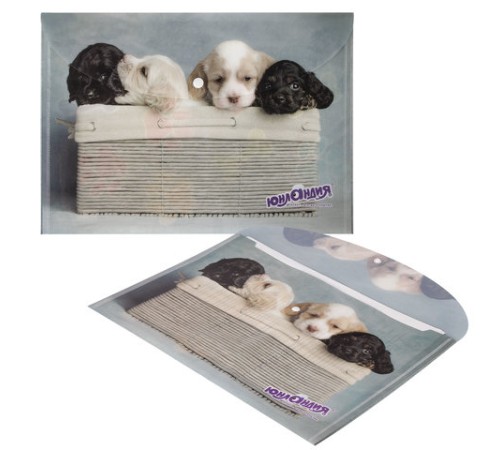 Папка-конверт с кнопкой ЮНЛАНДИЯ 