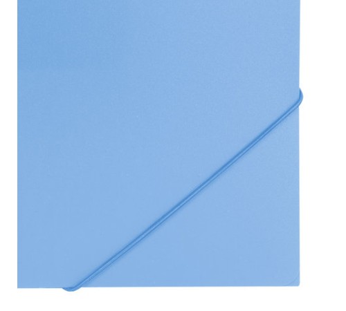 Папка на резинках BRAUBERG 