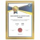 Рамка 21х30 см небьющаяся, багет 15 мм пластик, BRAUBERG "Respect", золотистая, 391272