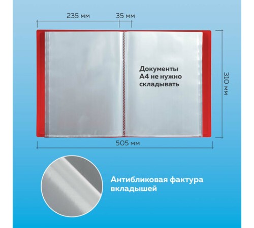 Папка 60 вкладышей BRAUBERG стандарт, красная, 0,8 мм, 228683