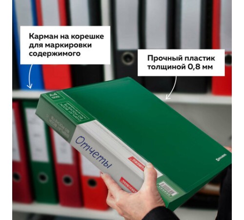 Папка 60 вкладышей BRAUBERG стандарт, зеленая, 0,8 мм, 228684