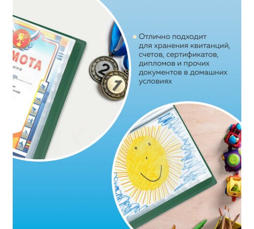 Папка 60 вкладышей BRAUBERG стандарт, зеленая, 0,8 мм, 228684