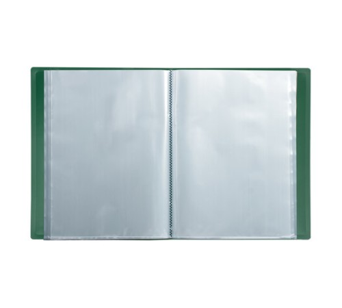 Папка 60 вкладышей BRAUBERG стандарт, зеленая, 0,8 мм, 228684