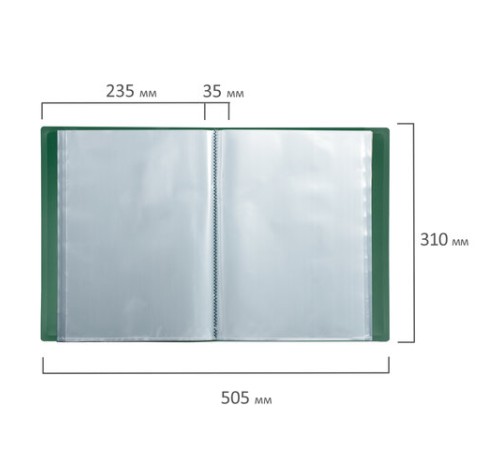 Папка 60 вкладышей BRAUBERG стандарт, зеленая, 0,8 мм, 228684