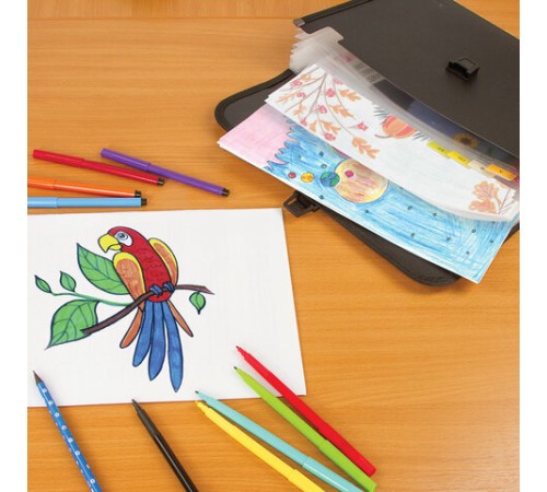 Папка для бумаг и документов с замком и 13 отделениями BRAUBERG 