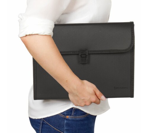 Папка для бумаг и документов с замком и 13 отделениями BRAUBERG 