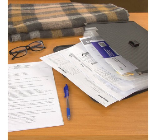 Папка для бумаг и документов с замком и 13 отделениями BRAUBERG 