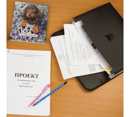 Папка для бумаг и документов с замком и 13 отделениями BRAUBERG 