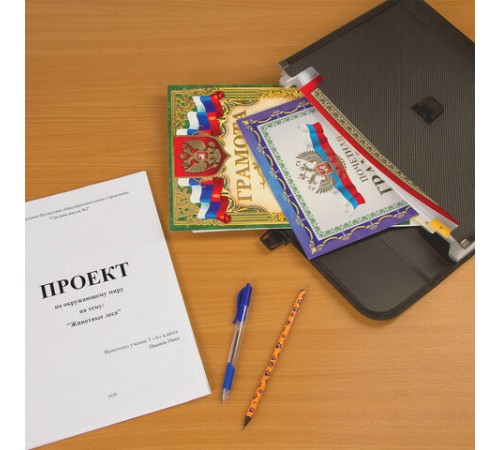 Папка для бумаг и документов с замком и 13 отделениями BRAUBERG 