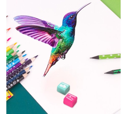 Набор ластиков ЮНЛАНДИЯ 