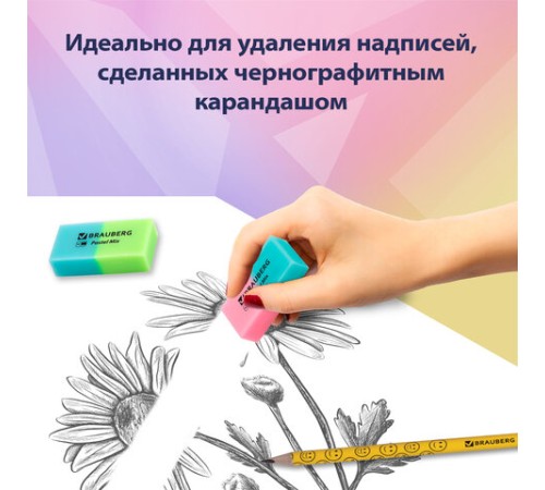 Набор ластиков BRAUBERG 