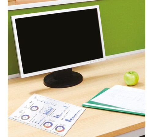 Папки-файлы перфорированные А4 BRAUBERG 