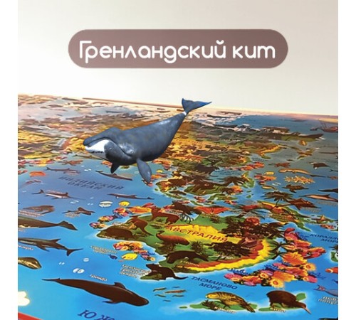 Карта мира "Животный и растительный мир" 101х69 см, интерактивная, в тубусе, ЮНЛАНДИЯ, 112373 Карта мира "Животный и растительный мир" 101х69 см, интерактивная, в тубусе, ЮНЛАНДИЯ, 112373