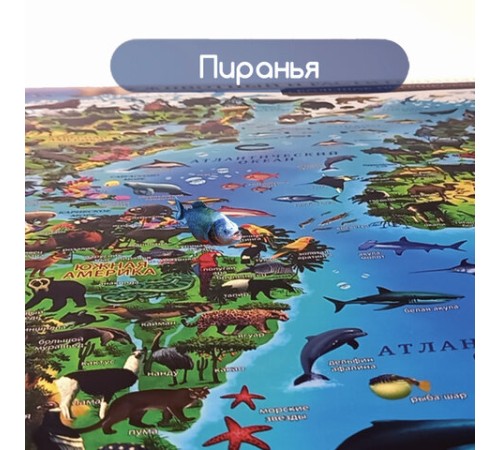 Карта мира "Животный и растительный мир" 101х69 см, интерактивная, в тубусе, ЮНЛАНДИЯ, 112373 Карта мира "Животный и растительный мир" 101х69 см, интерактивная, в тубусе, ЮНЛАНДИЯ, 112373