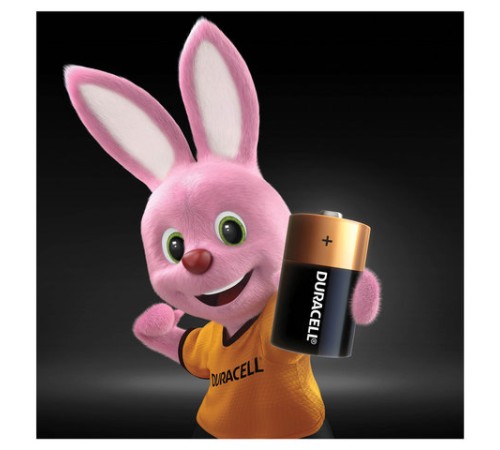 Батарейки КОМПЛЕКТ 2 шт., DURACELL Basic ОРИГИНАЛ, D (LR20, 13А), алкалиновые, блистер, MN 1300D LR20 Батарейки КОМПЛЕКТ 2 шт., DURACELL Basic ОРИГИНАЛ, D (LR20, 13А), алкалиновые, блистер, MN 1300D LR20
