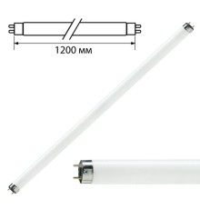 Лампа люминесцентная PHILIPS TL-D 36W/33-640, 36 Вт, цоколь G13, в виде трубки 120 см