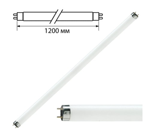 Лампа люминесцентная PHILIPS TL-D 36W/33-640, 36 Вт, цоколь G13, в виде трубки 120 см Лампа люминесцентная PHILIPS TL-D 36W/33-640, 36 Вт, цоколь G13, в виде трубки 120 см