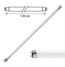 Лампа люминесцентная PHILIPS TL-D 36W/54-765, 36 Вт, цоколь G13, в виде трубки 120 см, холодный дневной свет, 815849