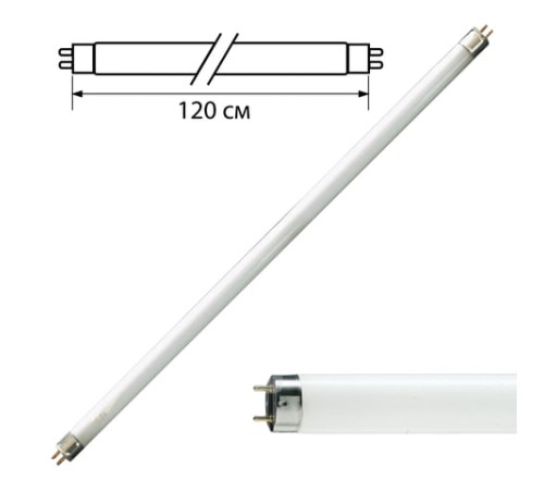 Лампа люминесцентная PHILIPS TL-D 36W/54-765, 36 Вт, цоколь G13, в виде трубки 120 см, холодный дневной свет, 815849 Лампа люминесцентная PHILIPS TL-D 36W/54-765, 36 Вт, цоколь G13, в виде трубки 120 см, холодный дневной свет, 815849
