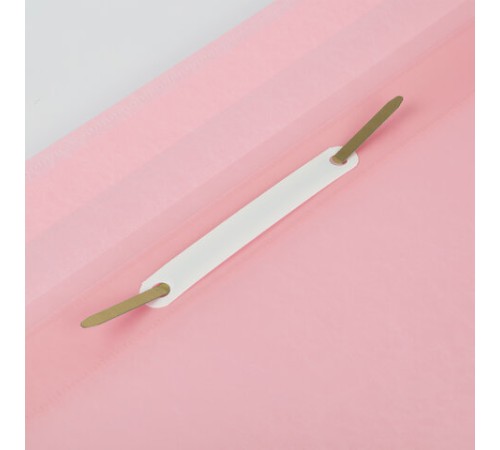 Скоросшиватель пластиковый BRAUBERG 