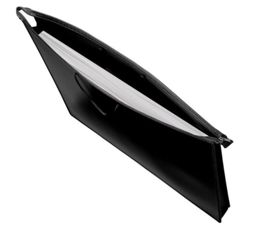 Папка для рисунков и чертежей на молнии с ручками ПИФАГОР А2, 1 отделение, пластик, ручки-шнурок, черная, 270873