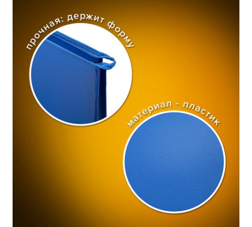 Папка для рисунков и чертежей на молнии с ручками ПИФАГОР А2, 1 отделение, пластик, ручки-шнурок, синяя, 270874