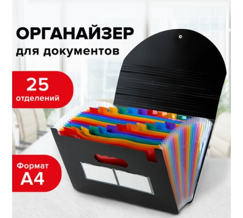 Папка-органайзер для бумаг и документов на резинке, 25 отделений, BRAUBERG DOCS, А4, черная, 271151