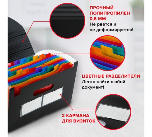 Папка-органайзер для бумаг и документов на резинке, 25 отделений, BRAUBERG DOCS, А4, черная, 271151