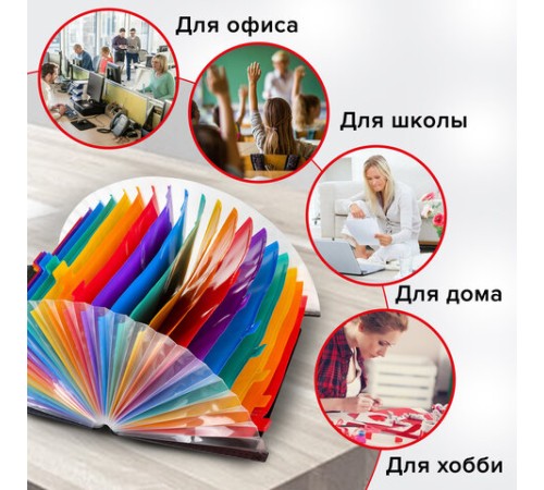 Папка-органайзер для бумаг и документов на резинке, 25 отделений, BRAUBERG DOCS, А4, черная, 271151