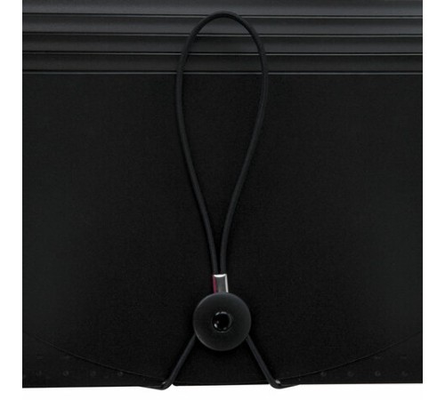 Папка-органайзер для бумаг и документов на резинке, 25 отделений, BRAUBERG DOCS, А4, черная, 271151