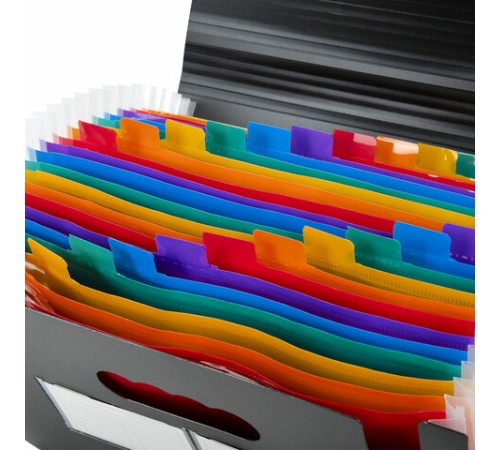 Папка-органайзер для бумаг и документов на резинке, 25 отделений, BRAUBERG DOCS, А4, черная, 271151