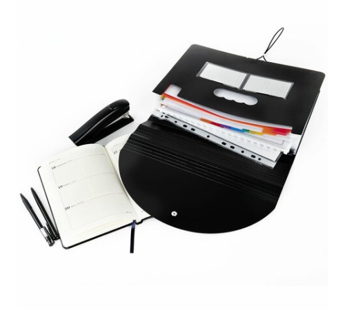 Папка-органайзер для бумаг и документов на резинке, 25 отделений, BRAUBERG DOCS, А4, черная, 271151