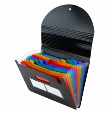 Папка-органайзер для бумаг и документов на резинке, 13 отделений, BRAUBERG DOCS, А4, черная, 271152