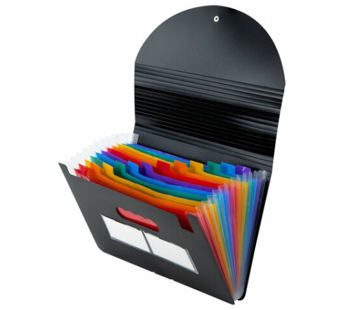 Папка-органайзер для бумаг и документов на резинке, 13 отделений, BRAUBERG DOCS, А4, черная, 271152