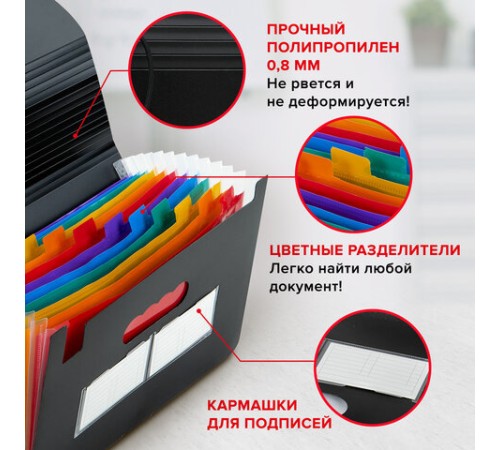 Папка-органайзер для бумаг и документов на резинке, 13 отделений, BRAUBERG DOCS, А4, черная, 271152