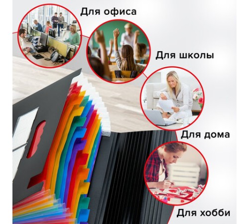 Папка-органайзер для бумаг и документов на резинке, 13 отделений, BRAUBERG DOCS, А4, черная, 271152