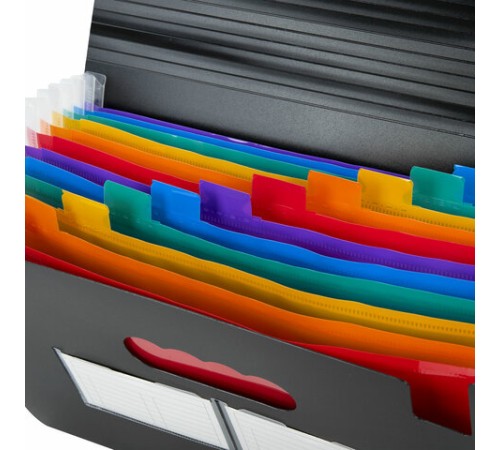 Папка-органайзер для бумаг и документов на резинке, 13 отделений, BRAUBERG DOCS, А4, черная, 271152