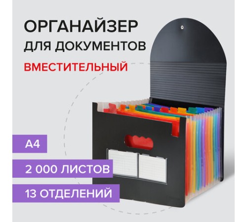Папка-органайзер для бумаг и документов на резинке, 13 отделений, BRAUBERG DOCS, А4, черная, 271152