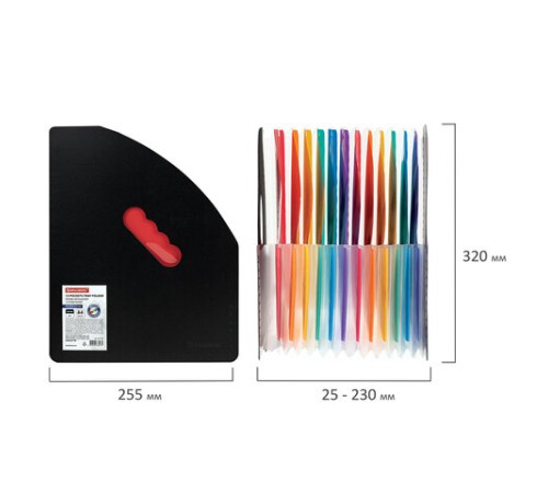 Лоток-органайзер вертикальный для бумаг и документов, 13 отделений, BRAUBERG DOCS, А4 черный, 271153