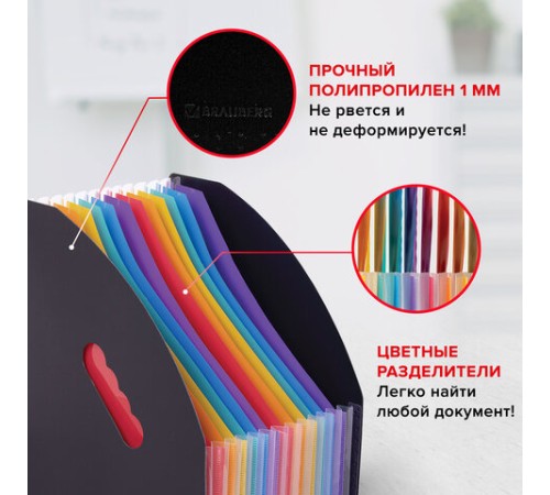 Лоток-органайзер вертикальный для бумаг и документов, 13 отделений, BRAUBERG DOCS, А4 черный, 271153