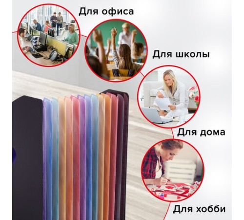 Лоток-органайзер вертикальный для бумаг и документов, 13 отделений, BRAUBERG DOCS, А4 черный, 271153