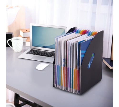 Лоток-органайзер вертикальный для бумаг и документов, 13 отделений, BRAUBERG DOCS, А4 черный, 271153