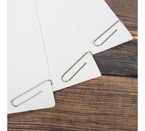 Скрепки большие EXTRA BRAUBERG 50 мм никелированные 50 штук, 271314